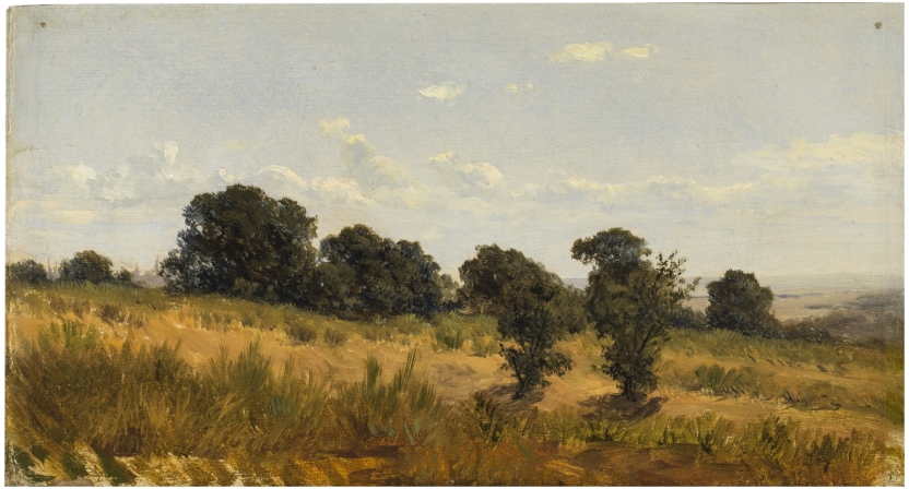 Imagen de la obra: "Paisaje del delfinado"
