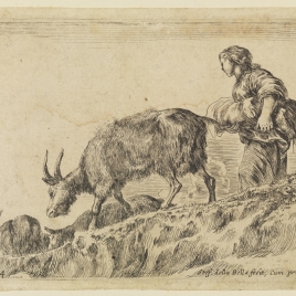 Mujer guiando las cabras