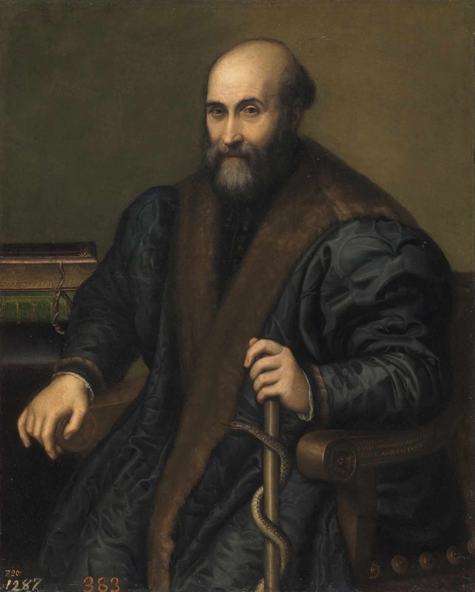 Anguissola, Lucia