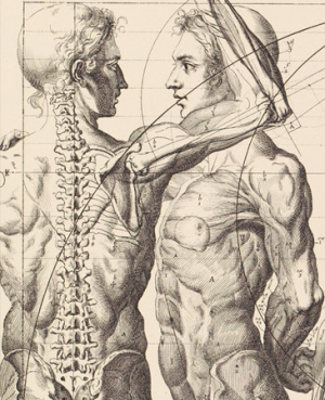 Imágenes del cuerpo en la Edad Moderna