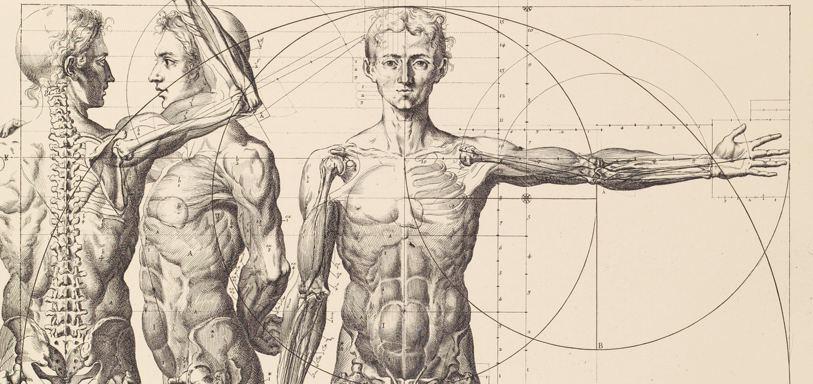 Imágenes del cuerpo en la Edad Moderna - Actividad - Museo Nacional del  Prado