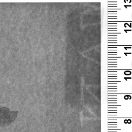 Imagen del carrusel