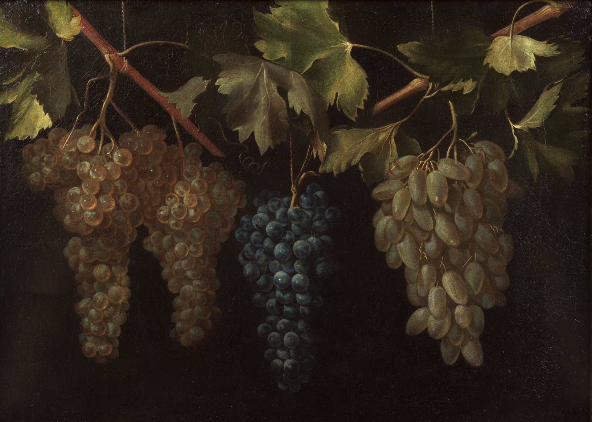 Four Bunches of Hanging Grapes - The Collection - Museo Nacional del Prado