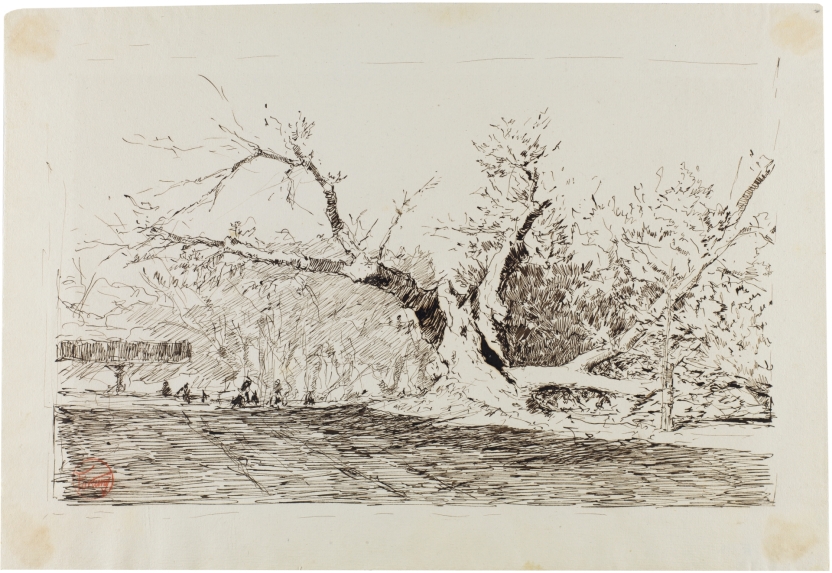 Imagen de la obra: "Gran árbol del Retiro"