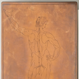Estudio geométrico del cuerpo masculino, vista frontal