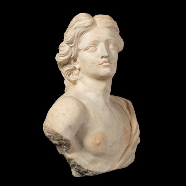 Bust of Apollo - The Collection - Museo Nacional del Prado
