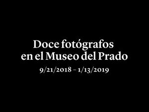 Twelve Photographers