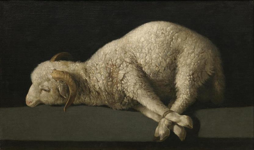 Agnus Dei (reproducción fotográfica)
