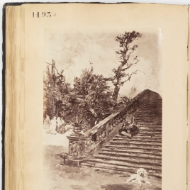 Imagen del carrusel