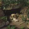 Miniatura obra