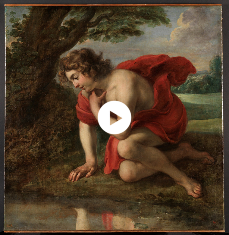Narciso