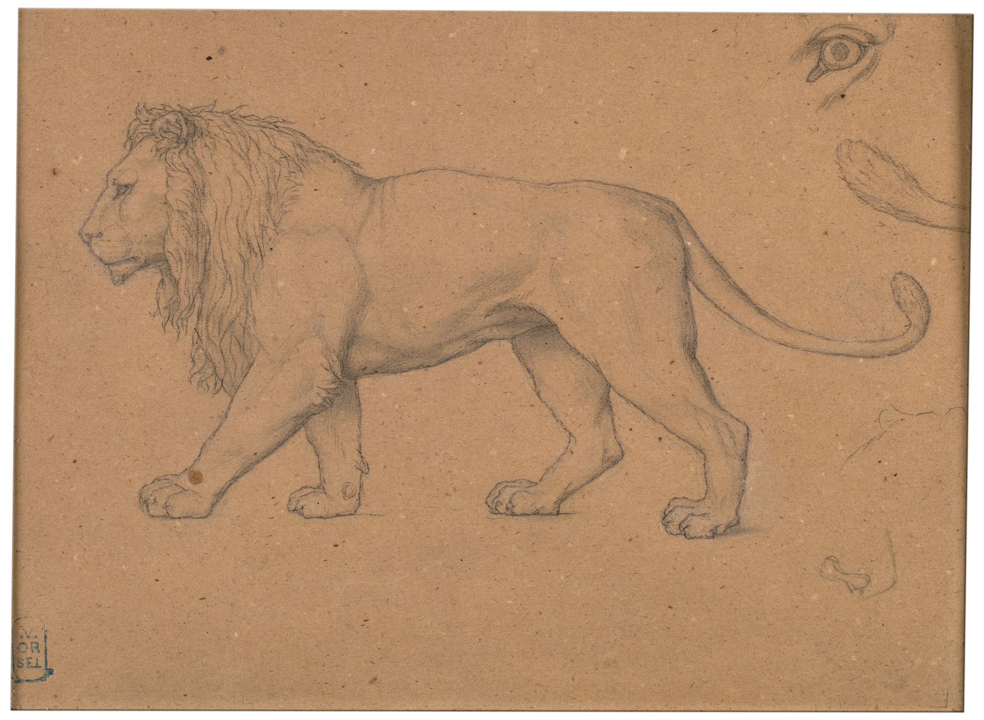 Estudio de figura de un león (Nuestra Señora de Fourvière, Lyon) -  Colección - Museo Nacional del Prado