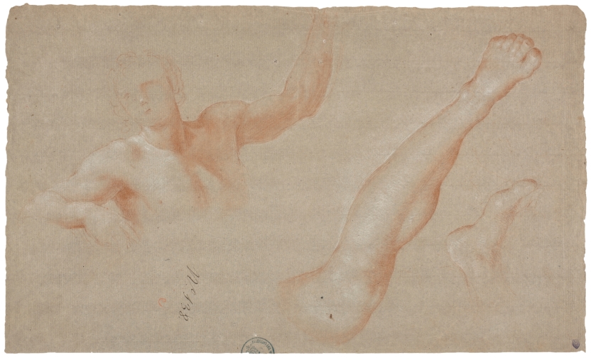 Image of the artwork: "Male Nude and Other Studies"