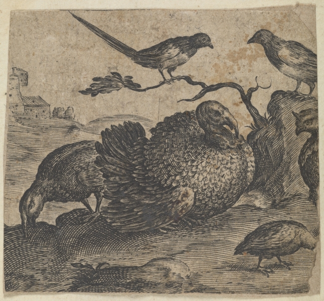 Imagen de la obra: "Pavos y pájaros"