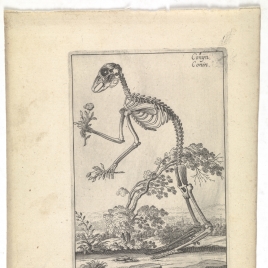 Imagen de la obra