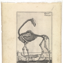 Imagen de la obra