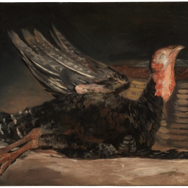 Dead Turkey