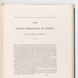 Imagen del carrusel
