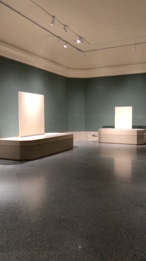 Remodelación de la sala del Bosco