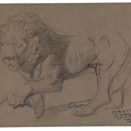 Apunte de un león para el retrato de El rey Alfonso XII
