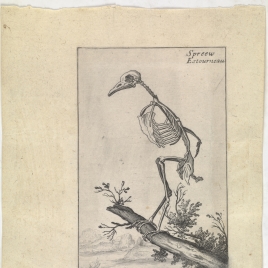 Imagen de la obra