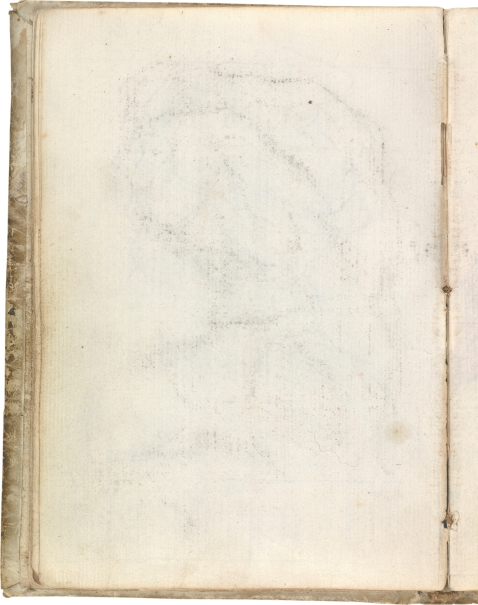 Imagen de la obra: "Torso del Belvedere (vista dorsal), contradibujo"