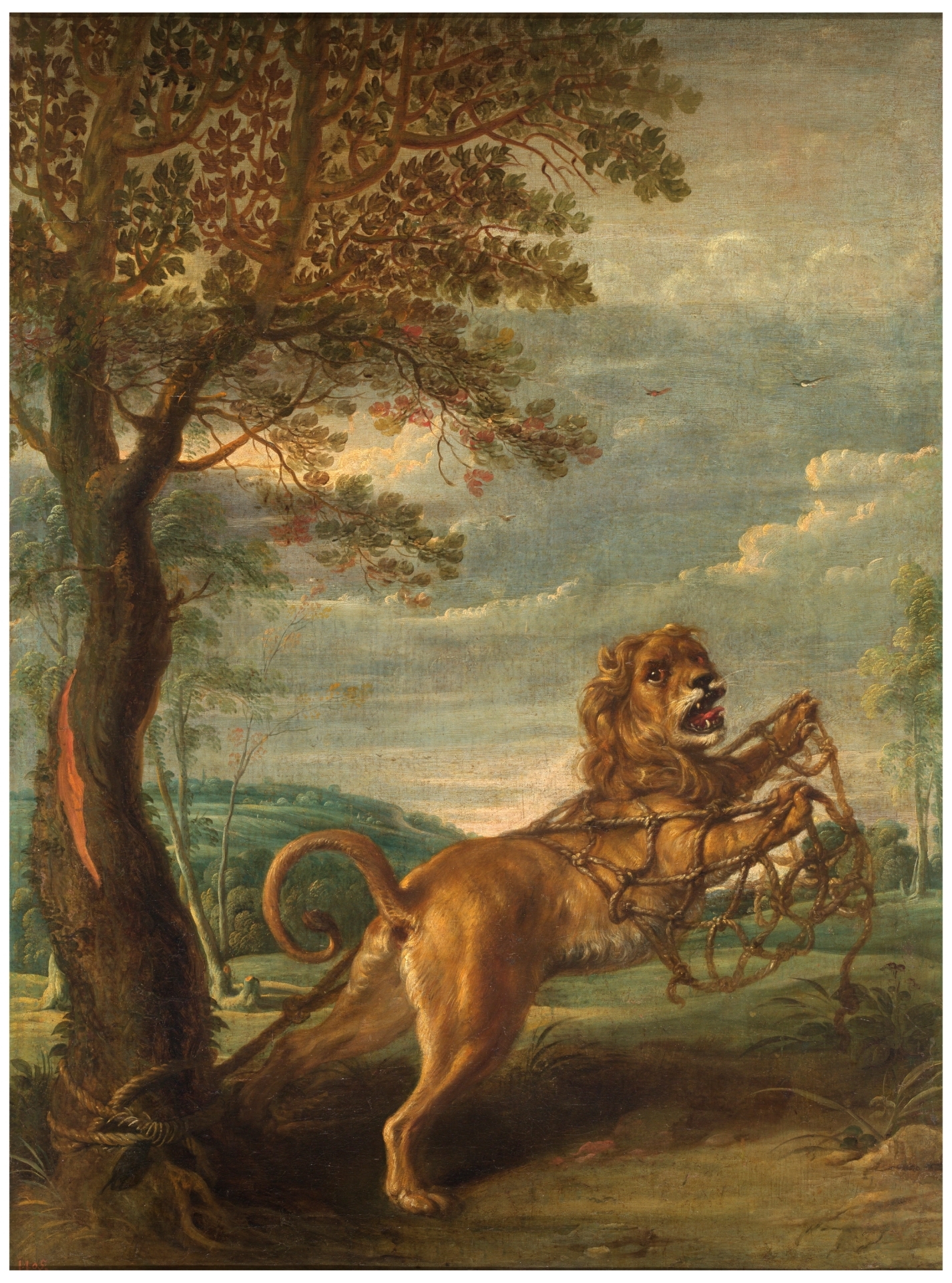 Fábula del león y el ratón - Colección - Museo Nacional del Prado