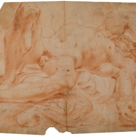 Desnudo masculino académico / Estudios de cuerpos de niños