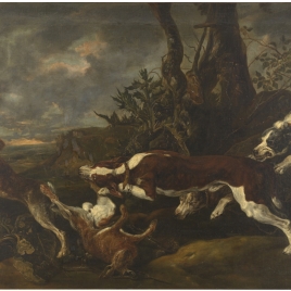 Liebres perseguidas por perros