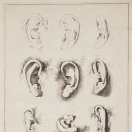 Imagen de la obra