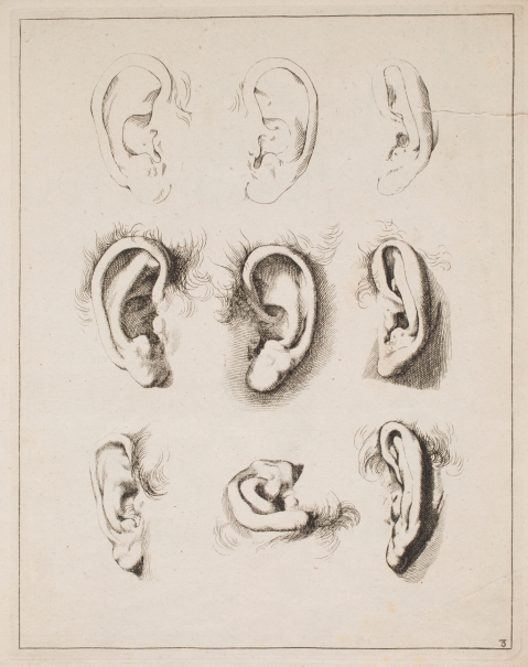 Imagen de la obra: "Estudios de orejas"