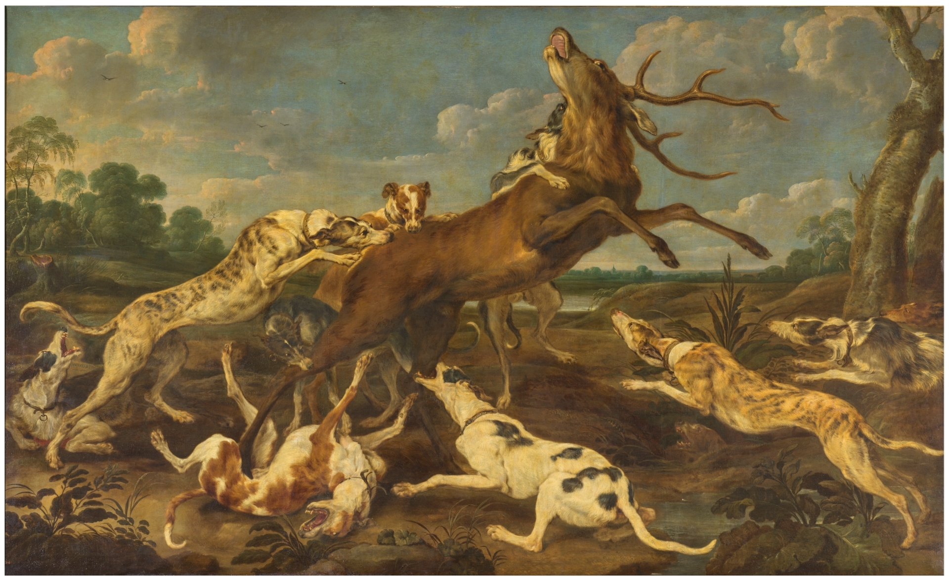Ciervo acosado por una jauría de perros - Colección - Nacional del Prado