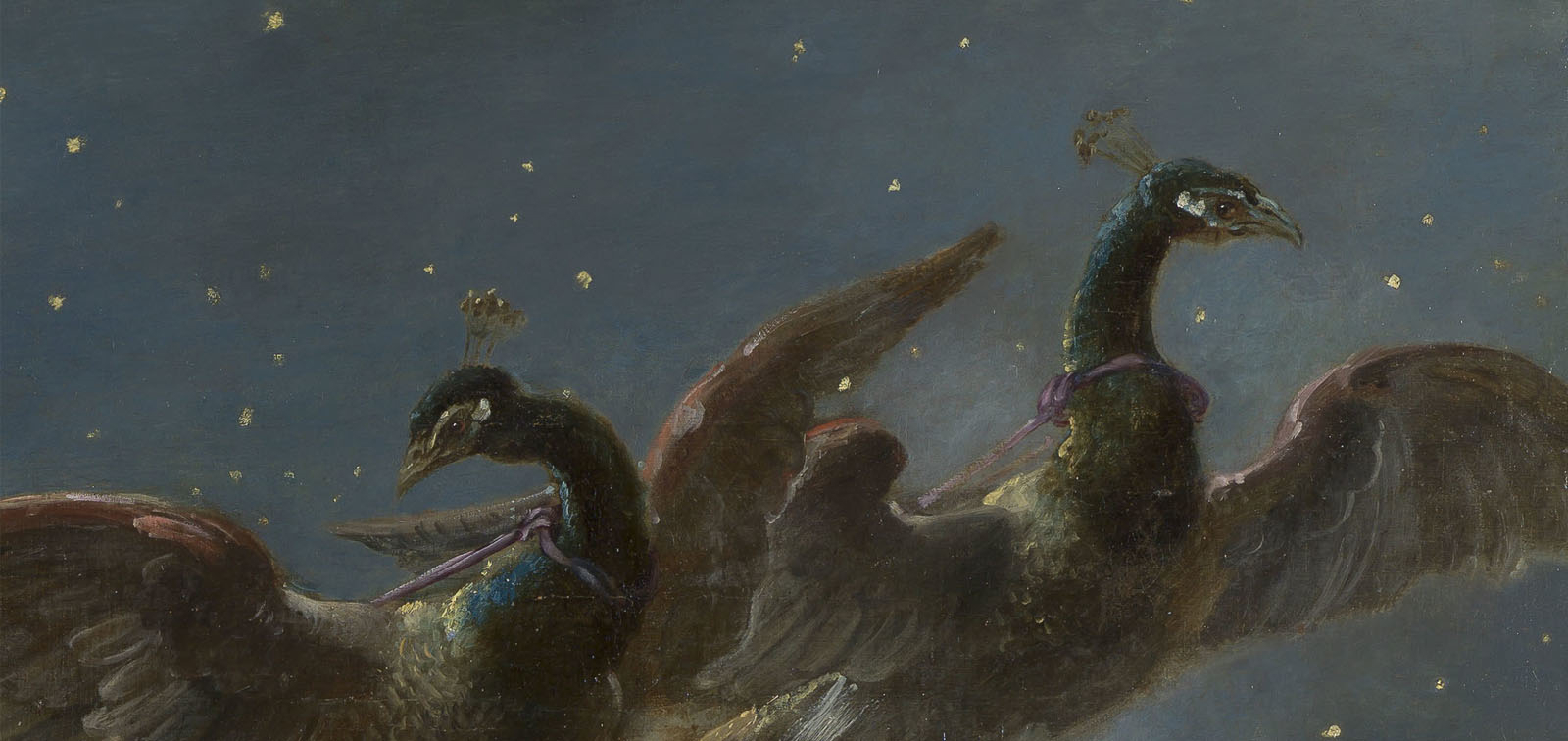 Noche de los Museos 2024