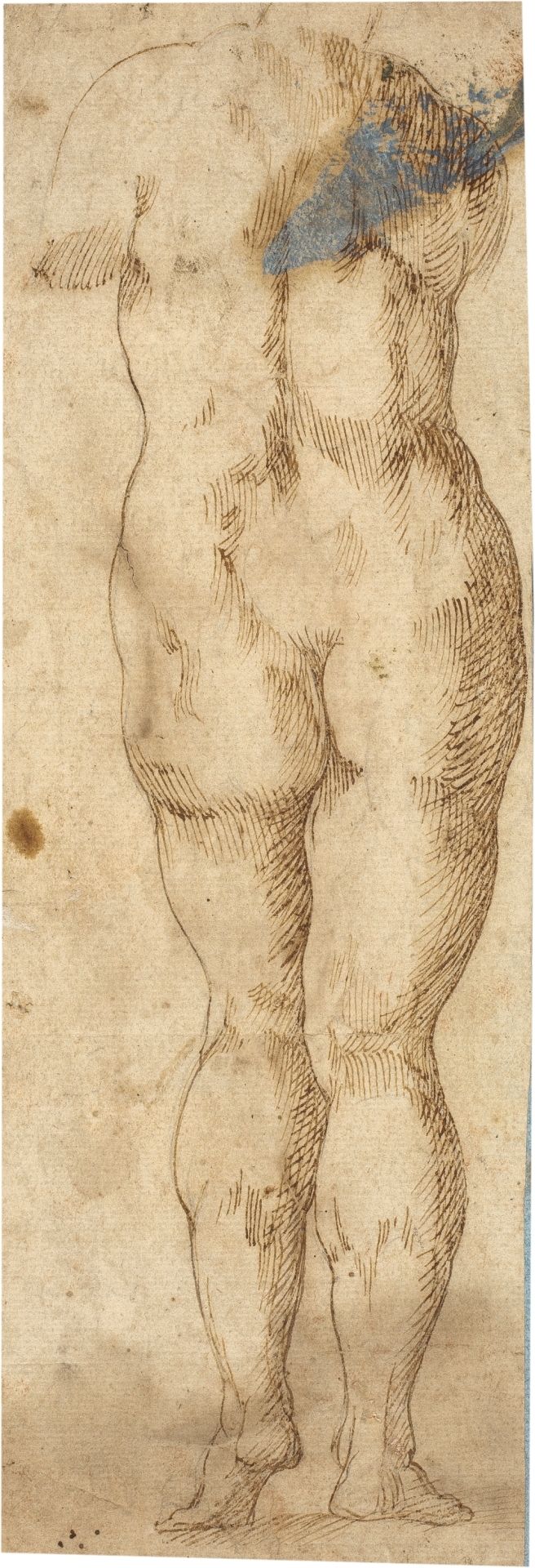 Copy of a Statue of a Nude Woman Seen from the Rear - The Collection -  Museo Nacional del Prado