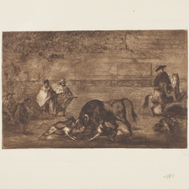 Perros al toro