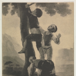 Muchachos trepando al árbol