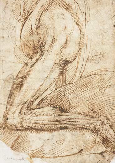 Dibujos del Siglo XVI