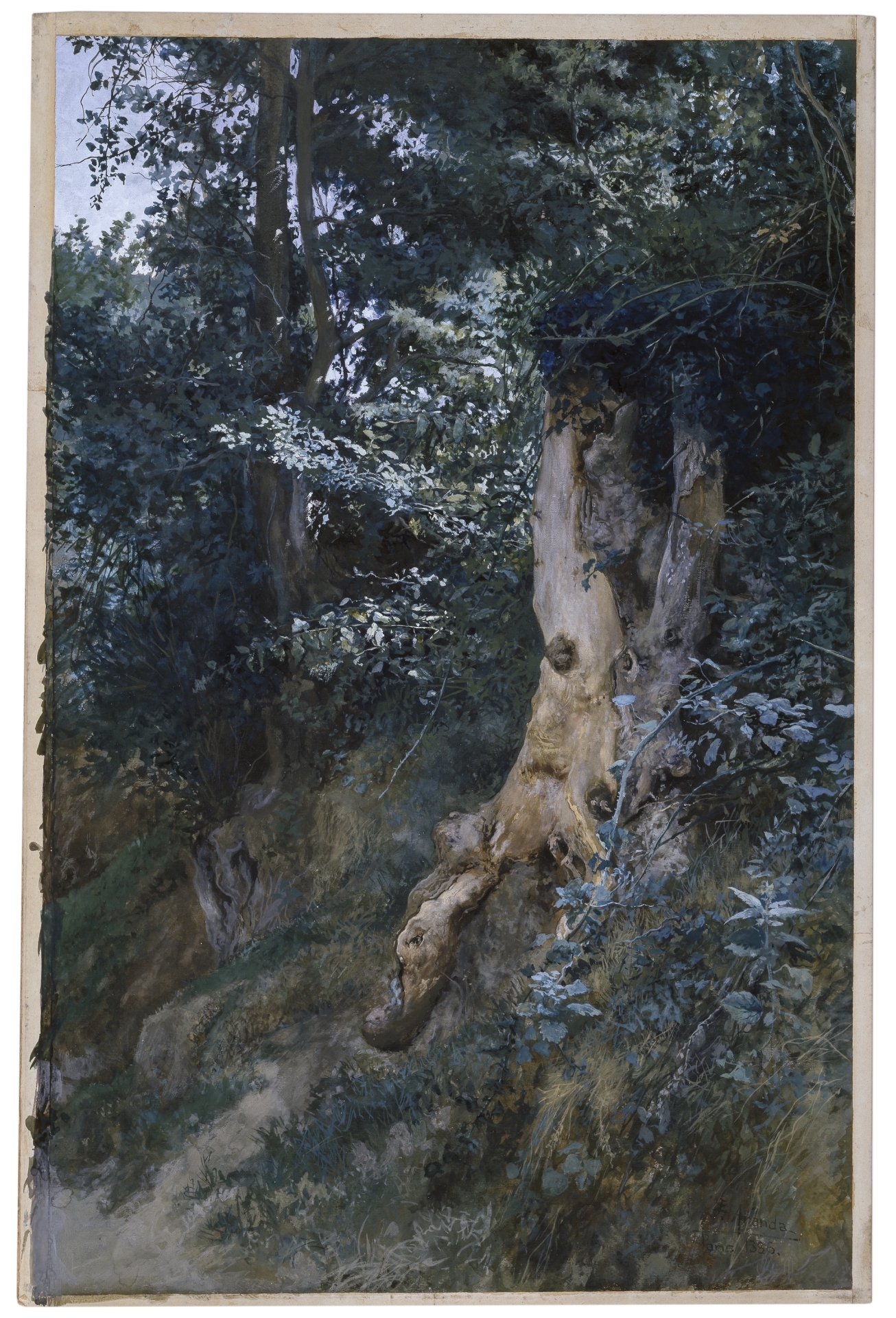 原画　『inside the tree.』 Old Tree Trunk - The Collection - Museo Nacional del Prado