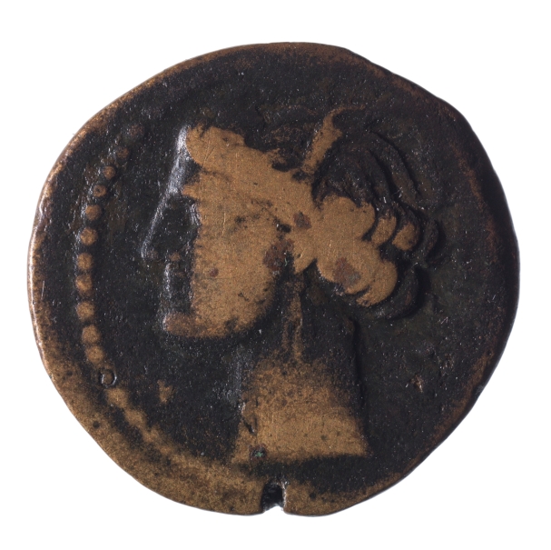 Imagen de la obra: "Cabeza de Ceres / Caballo de caballo"