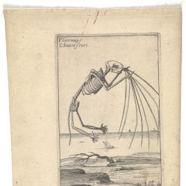 Imagen de la obra