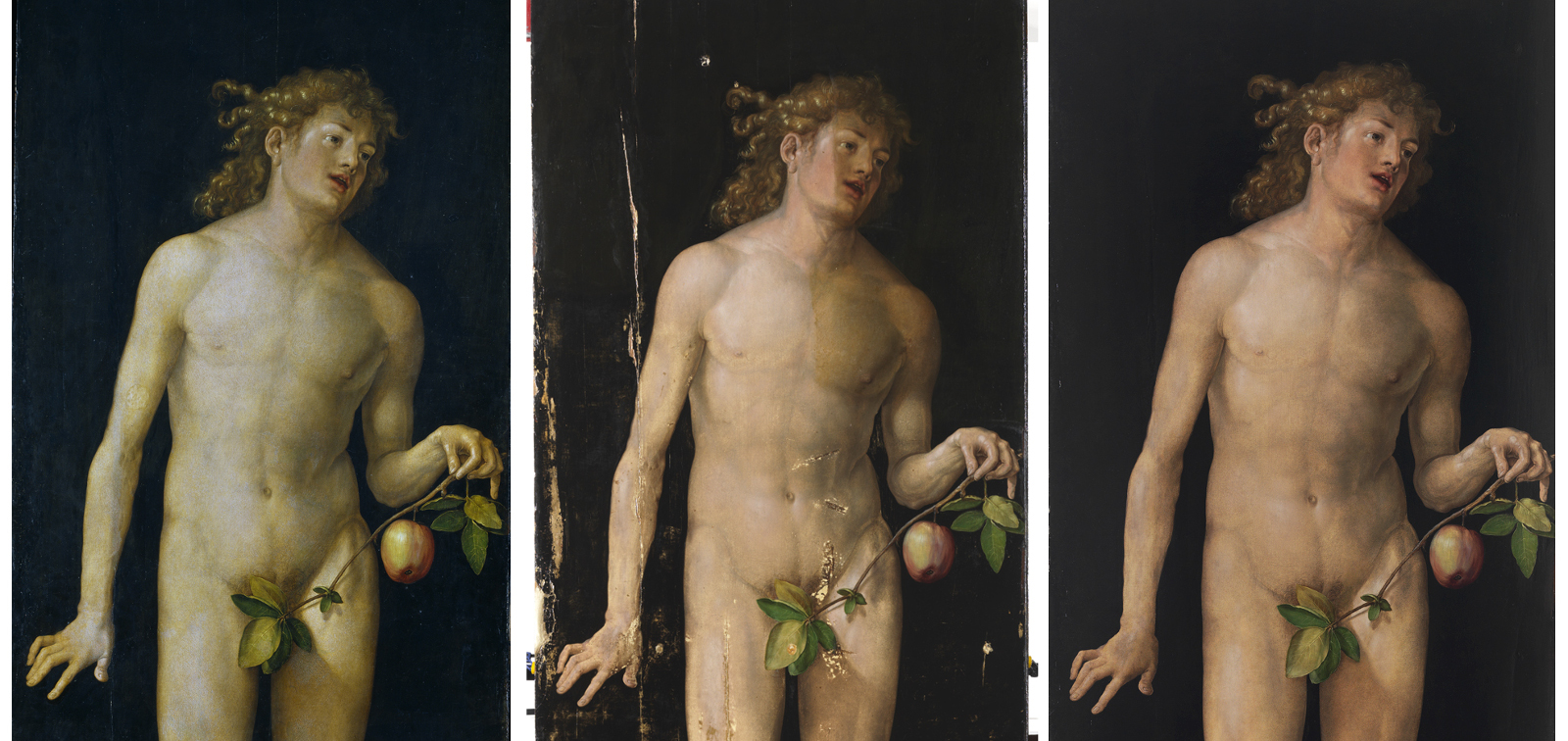 Special Display: Adam and Eve, by Dürer, following their restoration