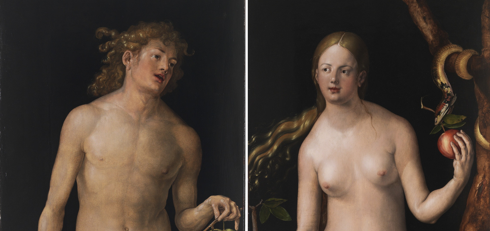 Special Display: Adam and Eve, by Dürer, following their restoration