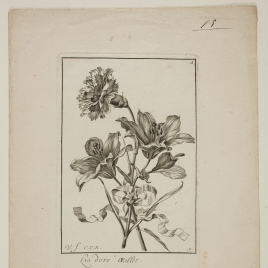 Imagen de la obra