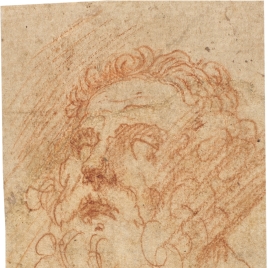 Head of a bearded man looking upwards to the left