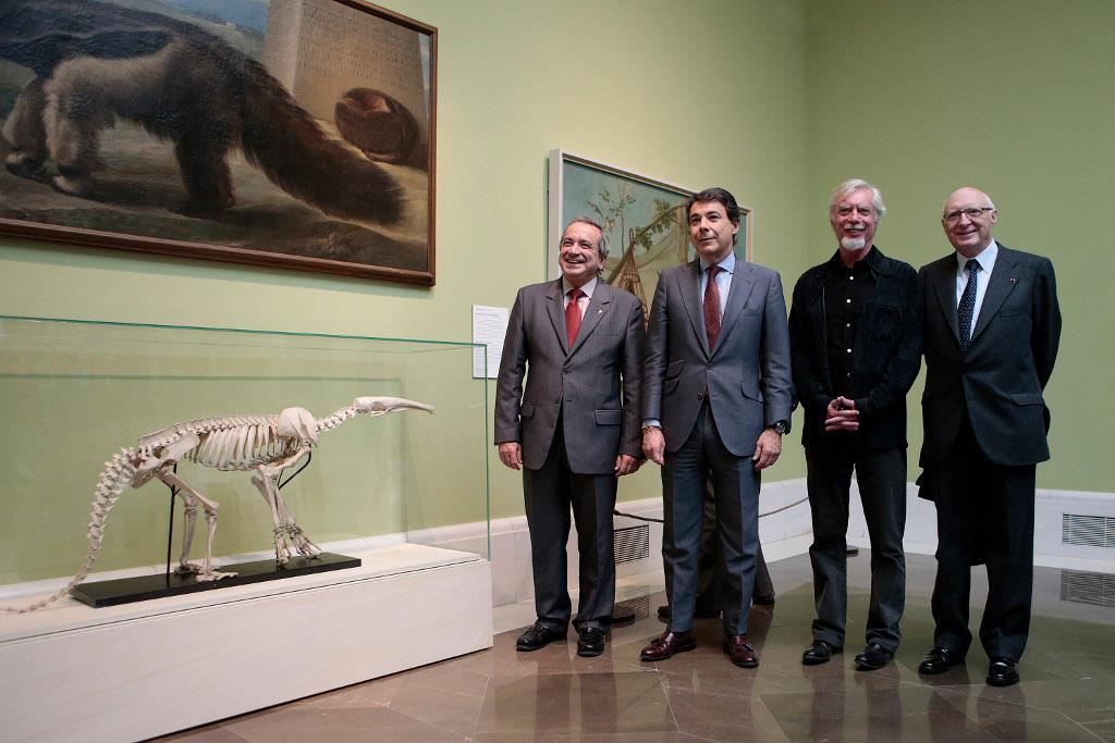 La Comunidad de Madrid y el CSIC colaboran en la organización de la exposición “Historias Naturales” que celebra el aniversario del Museo del Prado