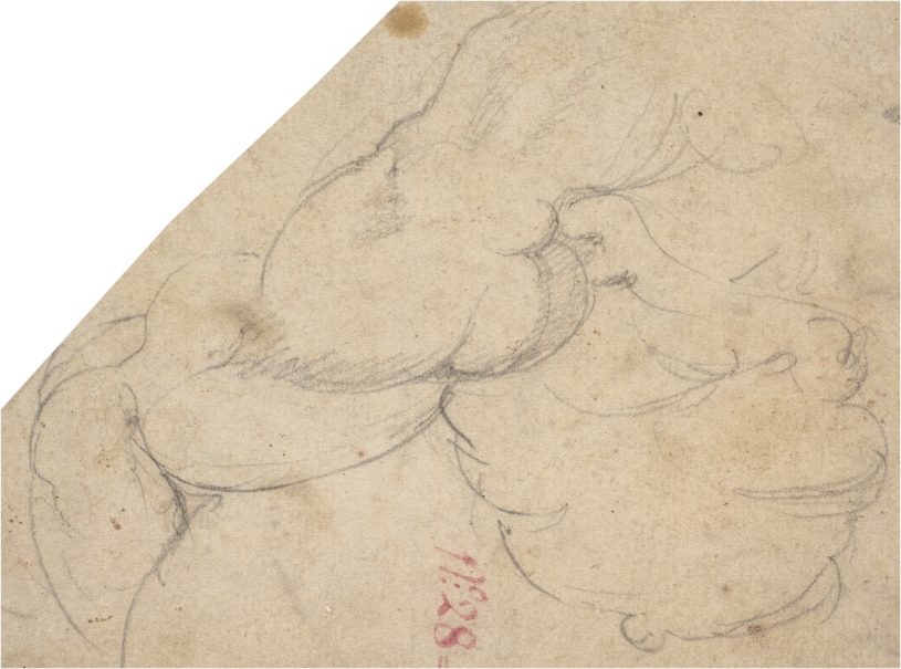 Study of a man's right shoulder, breast and upper arm