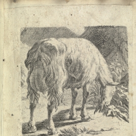 Imagen de la obra