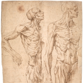 Imagen de la obra