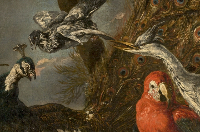 Parada 2: Concierto de aves