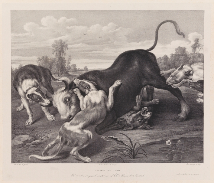 Imagen de la obra: "Toro rendido por perros"